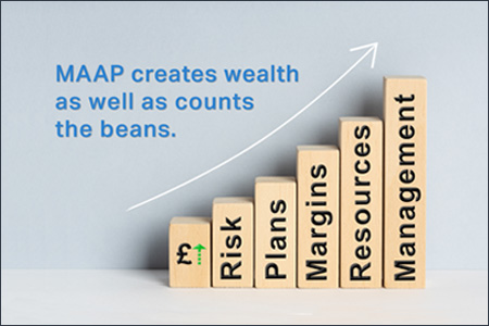 The type of clients who engage MAAP Accountants of Christchurch